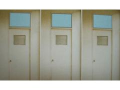 江苏中鼎钢构门业有限公司 办公室门、洁净门、单向弹簧门