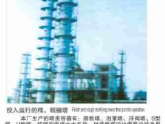 江苏双勤民生冶化设备制造有限公司 江苏双勤民生冶化设备制造- 供应塔类容器、干燥设备 