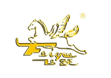 FYLX螺旋式中浓浆泵